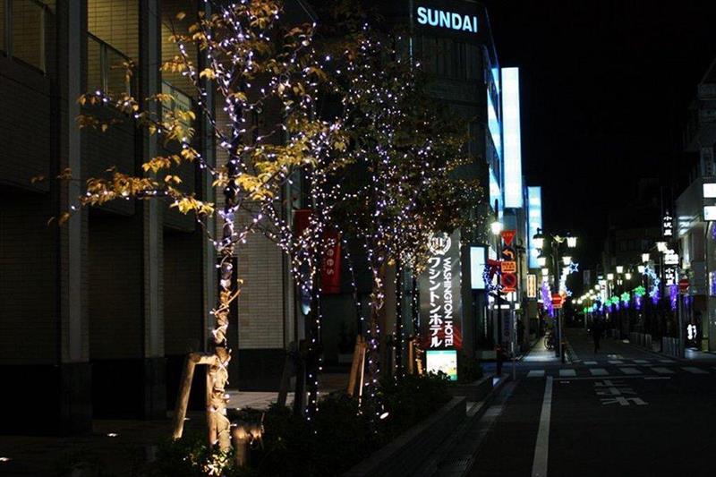 Tachikawa Washington Hotel Exterior foto